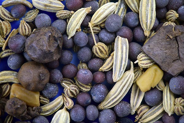 Indian spices with reversed Pentax 67 200 mm f/4 lens at f/8 Zerene Stacker DMap stack of 85 images